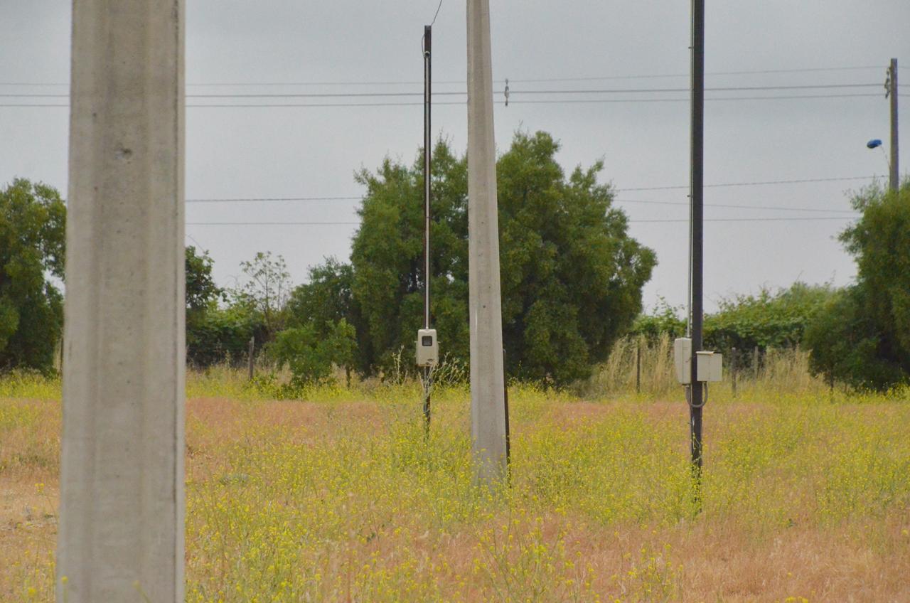 EN VENTA | Parcelas en Comalle 5000 mts cuadrados