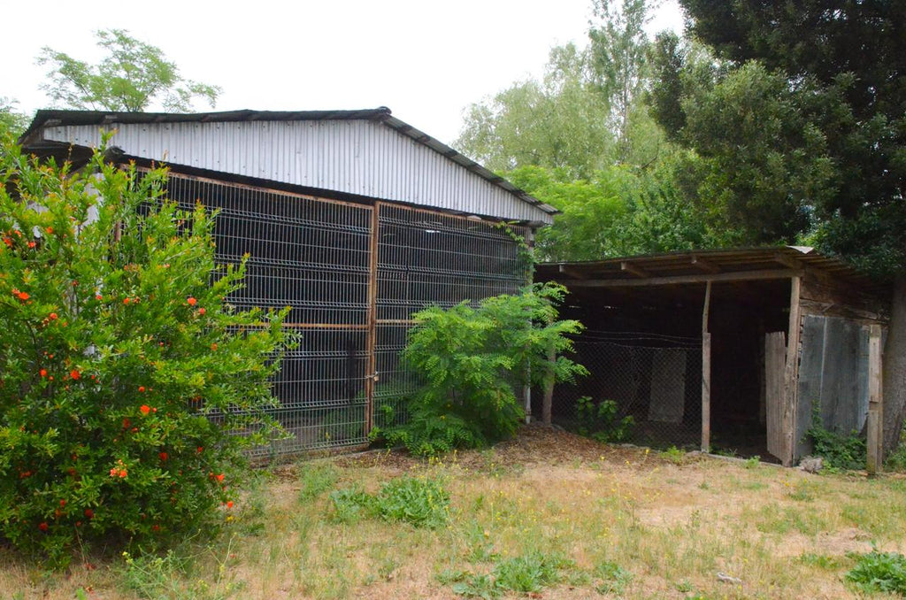 SE VENDE AMPLIA CASA CON GRAN TERRENO EN TENIENTE CRUZ, TENO