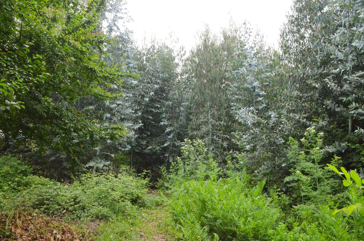 SE VENDE AMPLIA CASA CON GRAN TERRENO EN TENIENTE CRUZ, TENO