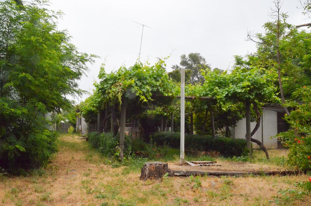 SE VENDE AMPLIA CASA CON GRAN TERRENO EN TENIENTE CRUZ, TENO