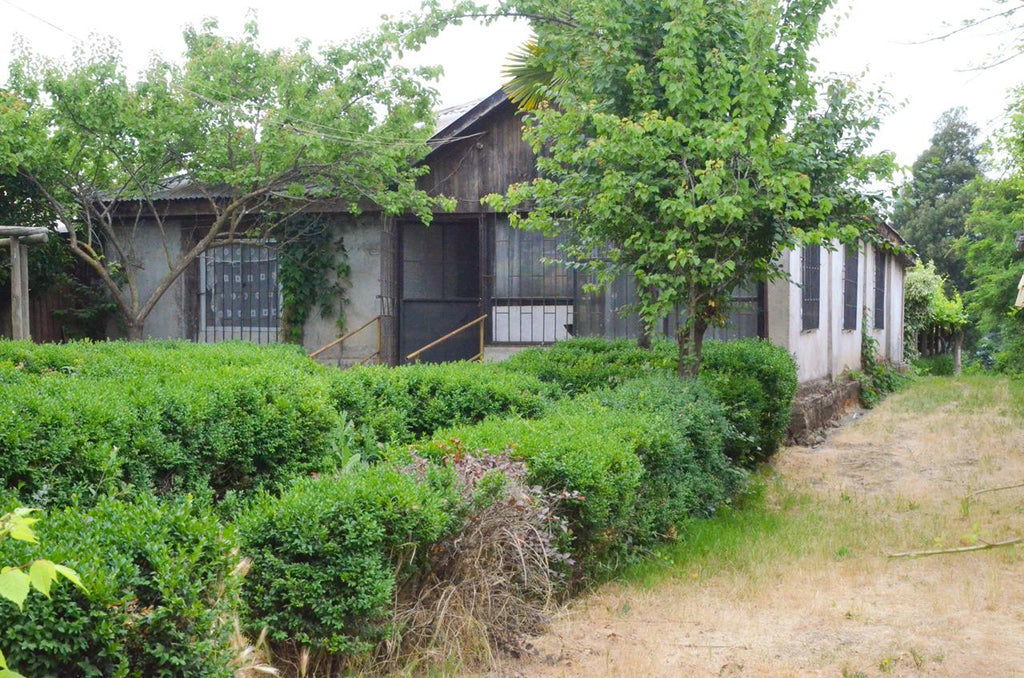 SE VENDE AMPLIA CASA CON GRAN TERRENO EN TENIENTE CRUZ, TENO