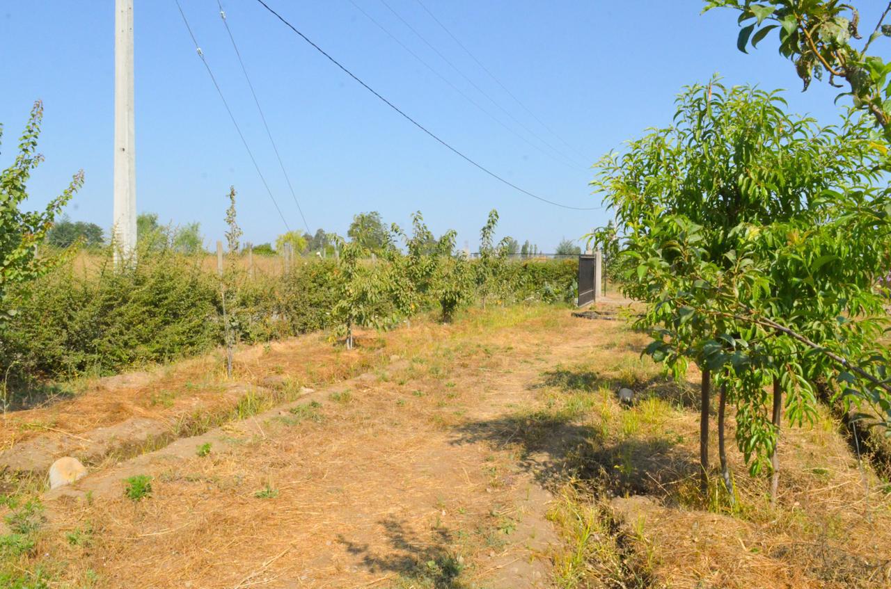 CASA EN VENTA LOS NICHES 5.000m²