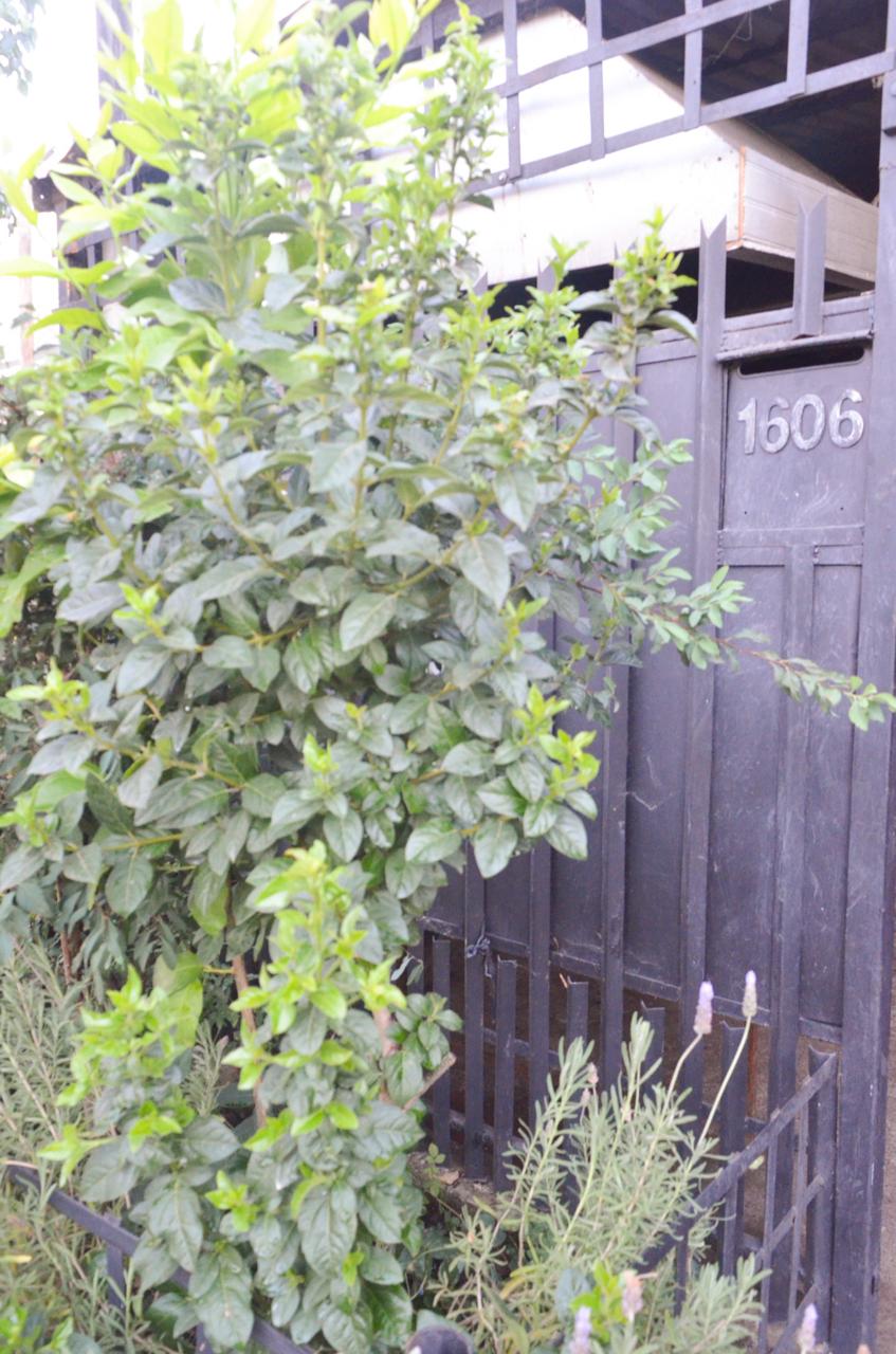 🏡 EN VENTA | Casa en Valles de Romeral – Romeral