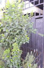 🏡 EN VENTA | Casa en Valles de Romeral – Romeral
