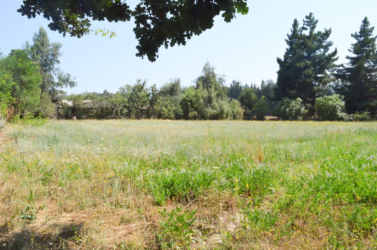 EN VENTA | Terreno en Alupenhue – Molina
