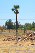 EN VENTA | Parcela en Pichingal