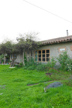 EN VENTA | CASA CAMPO COLONIAL LOS MAITENES ZAPALLAR